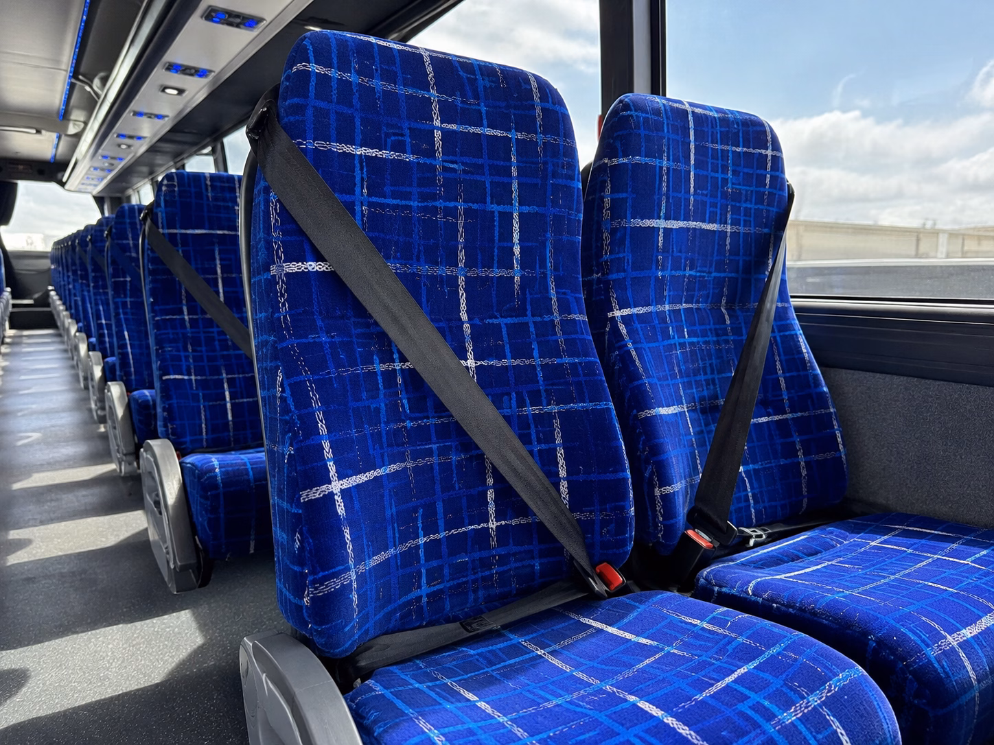 charter buses to the wnc nature center and biltmore estate for school groups